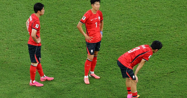 SC88 hỗ trợ 24/7: Hàn Quốc thất vọng World Cup, người hâm mộ Việt tìm chỗ dựa mới - hình ảnh - sc88x.vip SC88 hỗ trợ 24/7: Hàn Quốc thất vọng World Cup, người hâm mộ Việt tìm chỗ dựa mới - hình ảnh - sc88x.vip