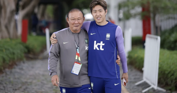 Casino trực tuyến Việt Nam và lời xin lỗi xúc động của Park Hang-seo sau World Cup 2026 - hình ảnh - sc88x.vip Casino trực tuyến Việt Nam và lời xin lỗi xúc động của Park Hang-seo sau World Cup 2026 - hình ảnh - sc88x.vip