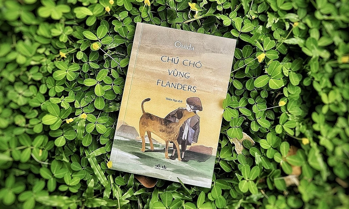 SC88 đổi thưởng và bài học về lòng tốt từ ‘Chú chó vùng Flanders’ - hình ảnh - sc88x.vip