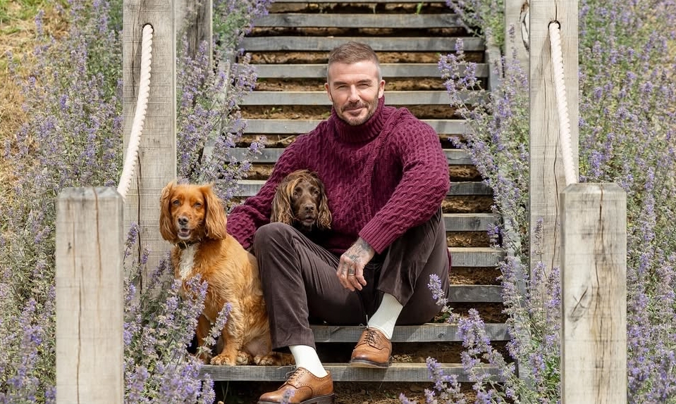 Thưởng đăng ký SC88 và phong cách thời thượng của David Beckham - hình ảnh - sc88x.vip Thưởng đăng ký SC88 và phong cách thời thượng của David Beckham - hình ảnh - sc88x.vip